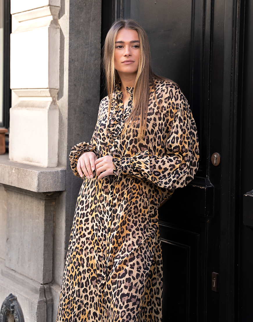 Tot ziens ze Vermomd Laurence Bras Bow jurk leopard | Style secrets